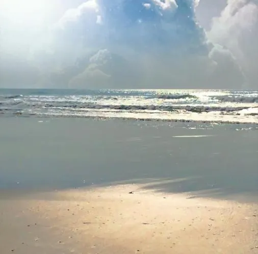T2, Bord De Plage Et Piscine